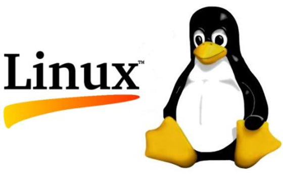 Rodrigo Berganza and Linux OS skill